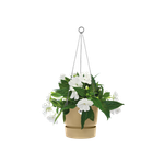 greenville hanging basket 24cm golden sand